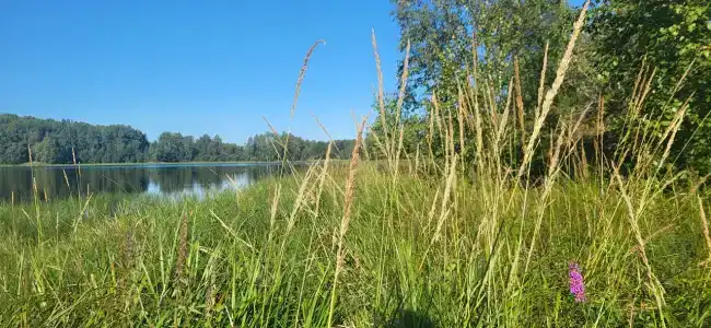 Форт Верный - 15