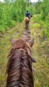 Сухов ключ - 31