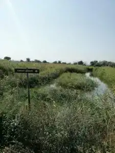 Парк Киммерия - 13