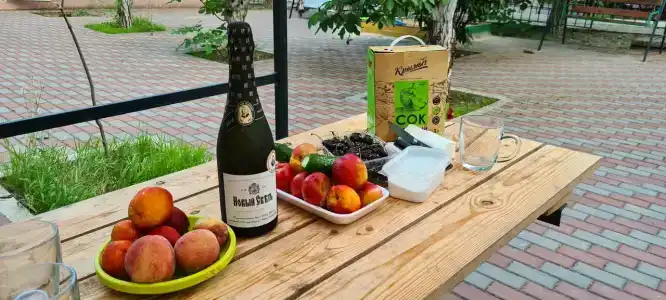 Волга - 13