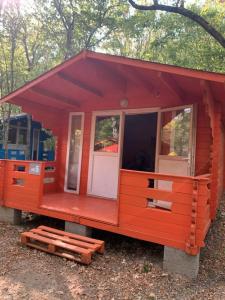 Эколоджия - 59