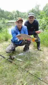 Поляна сказок - 20