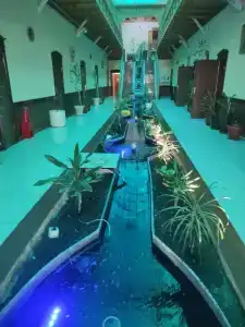 Шарк - 17