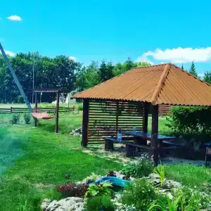 Вяжевская Благодать - 9