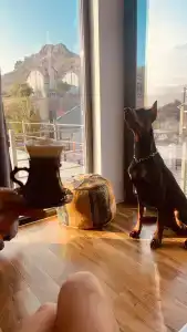 Лайтхаус - 26