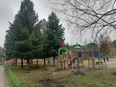 Тайга - 10