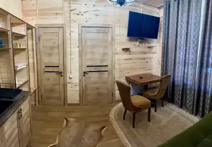 Багира - 29