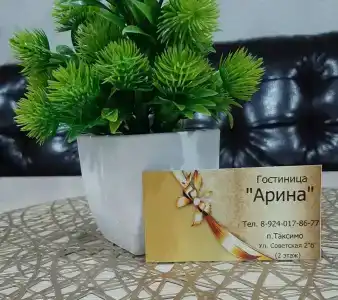 Ной - 8