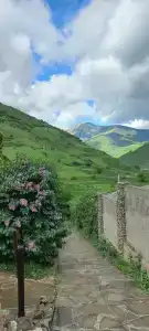 Asta Village - 64