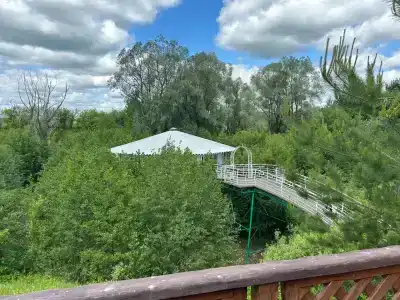 Медвежий угол - 11