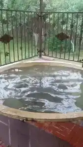 Кувшинка - 24