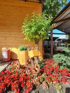 Эко-Фазенда - 21