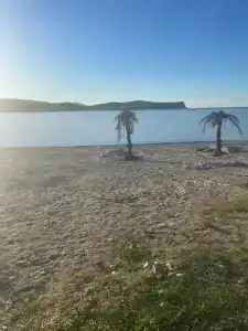 Зелёная полянка - 49