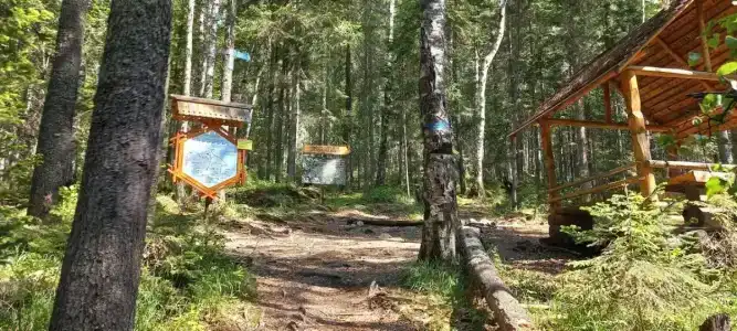 Таловский лог - 35