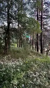 T-Park, тренинговый парк - 66
