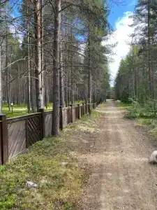 Лесная - 6