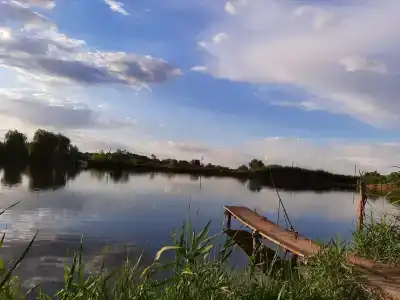 Янтарный берег - 8