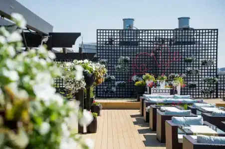 Санкт-Петербург - 19