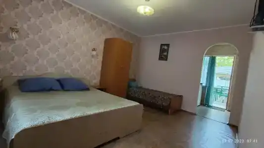 Кипарис-канака - 7