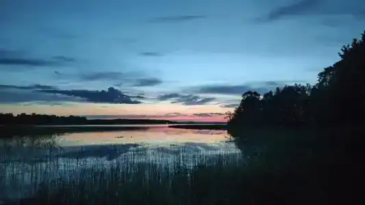 Урочище Жемчужина озеро Селигер - 56
