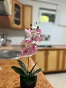 Вилла Гармония - 24