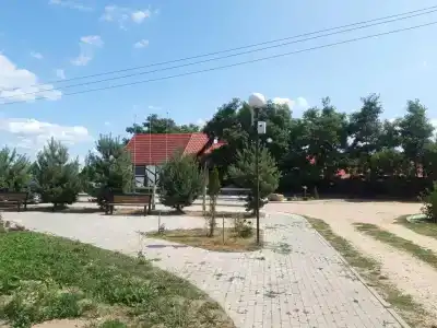 Виваль - 26