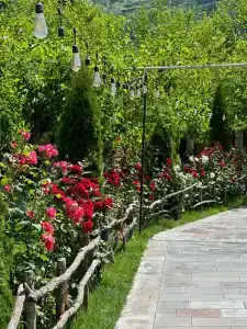 Khoreayi Dzor - 47