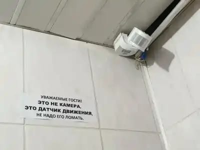 Весна плутос - 11