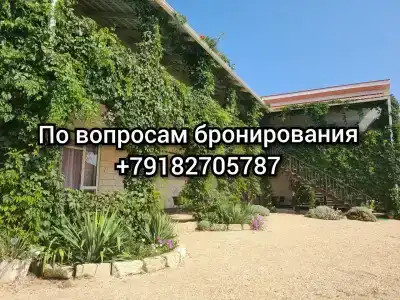 Курячи - 1
