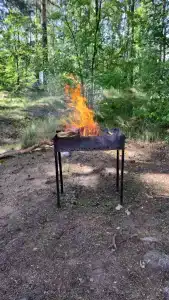 Колокольцево - 43