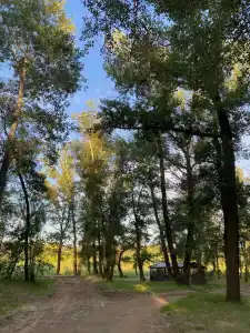 Стан - 10