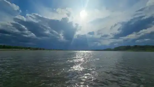 Лес и Рыба - 21