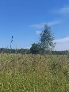 ПолеДом - 98
