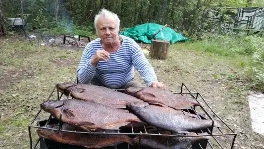 Колокольцево - 31