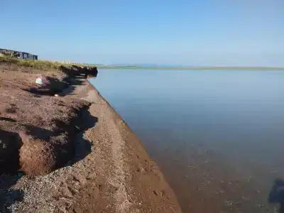 Белеклаб - 73