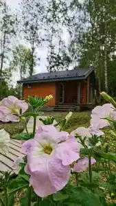 Forest Park - Tiny House - 2