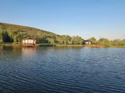 Ранчо - 0