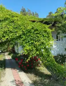 Б/о рудный - 26