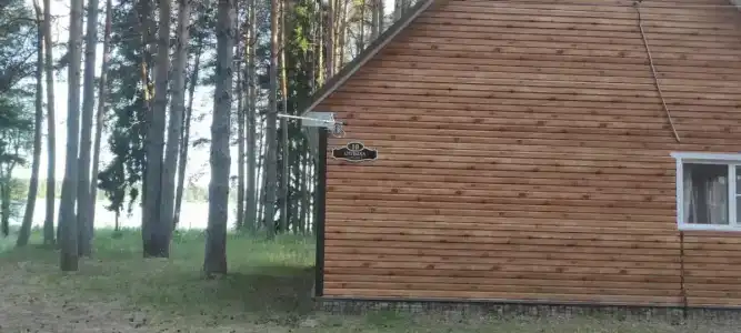 Стёпаново - 31