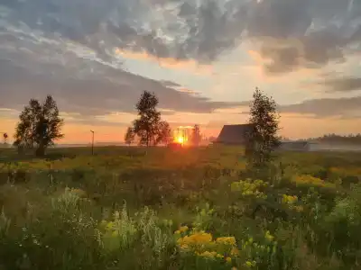 ПолеДом - 77