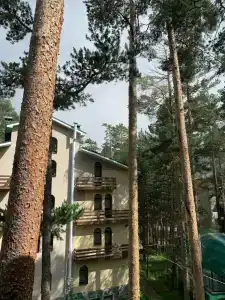 Поворот - 37