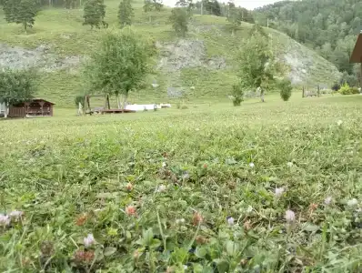 Явь - 39
