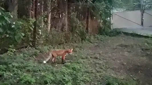 Умба-Тур - 5