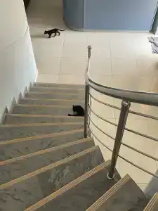 Гостиный двор - 79