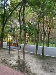 Алатырь - 76