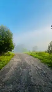 Паллада пастораль - 42
