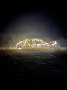 Signal - 11