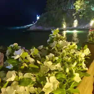 Utopia Beach Club - 33