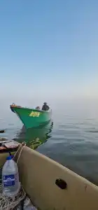 Раскаты - 21