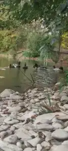 Парк Инь Янь - 20
